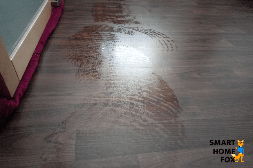 Résultat fonction serpillière OZMO Pro